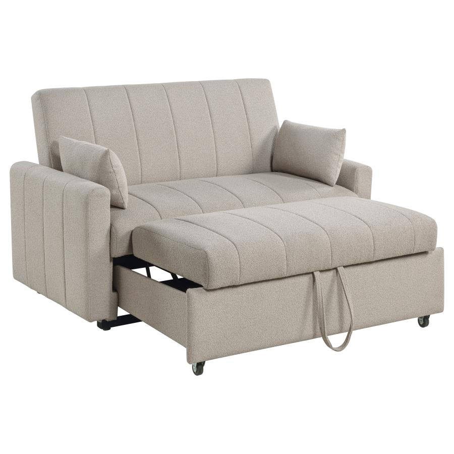 Sleeper Sofa