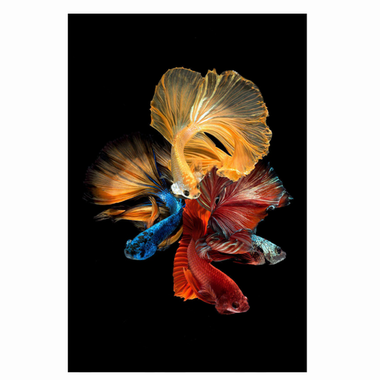 Multi-color Fishes Glass Wall Art 32"x48"